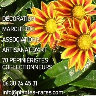 Arrière-plan